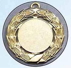 Bild Stieber-Medaille