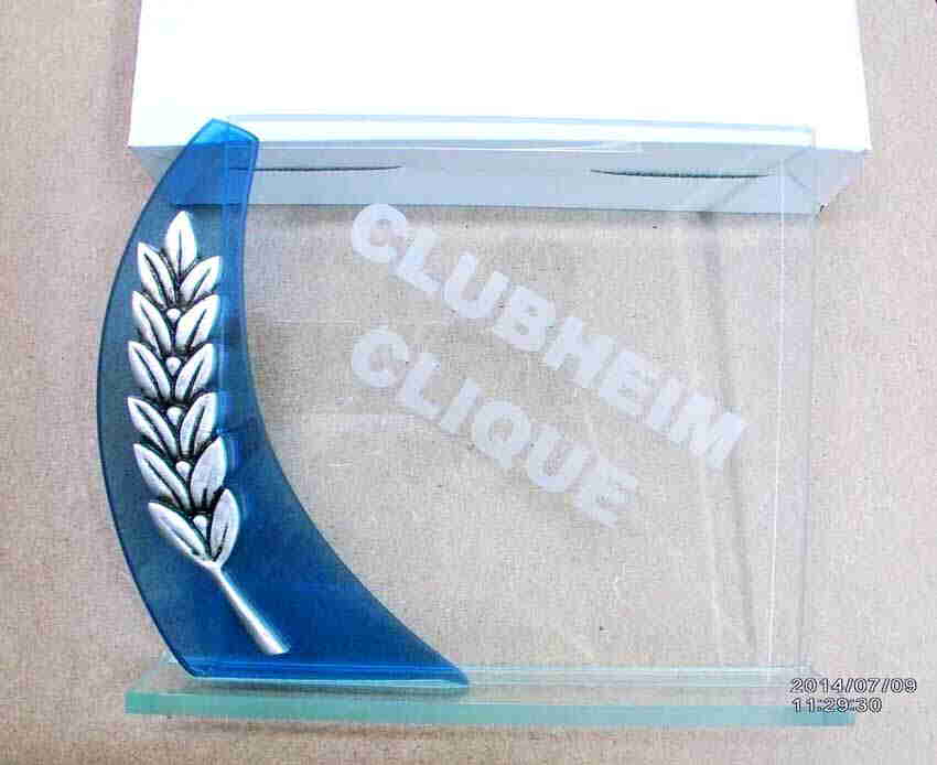 Glastrophe mit Lasergravur